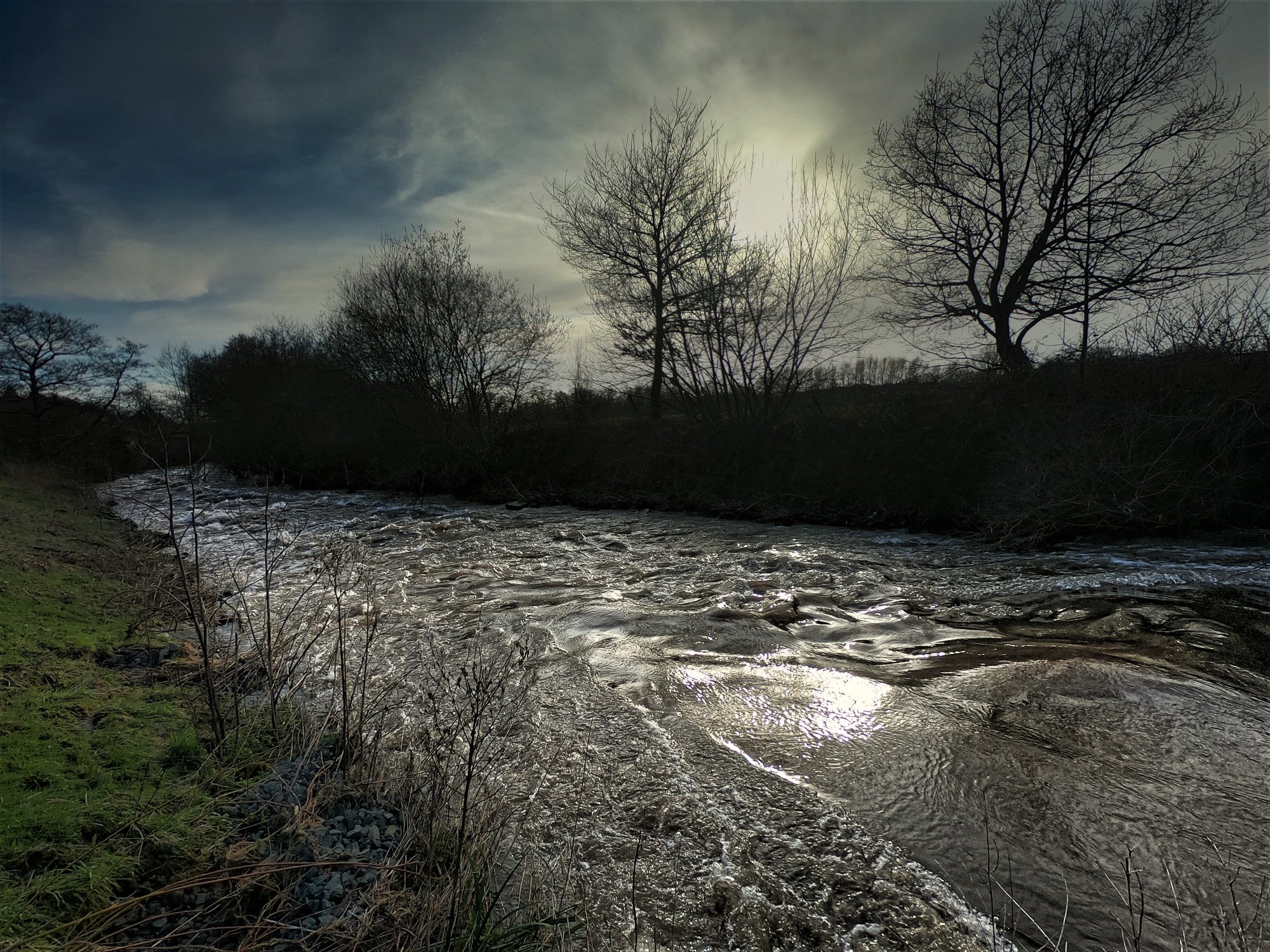 The River That Makes the Marsh -WILDEN MARSH DIARY: 667 – 14th December 2025